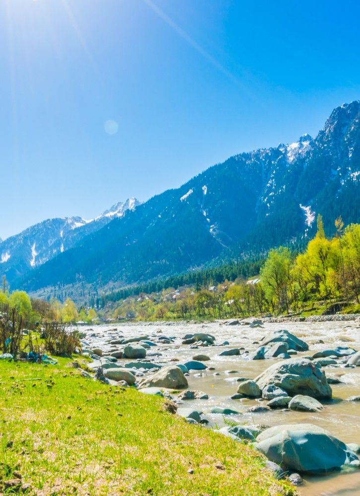 Yumthang Valley